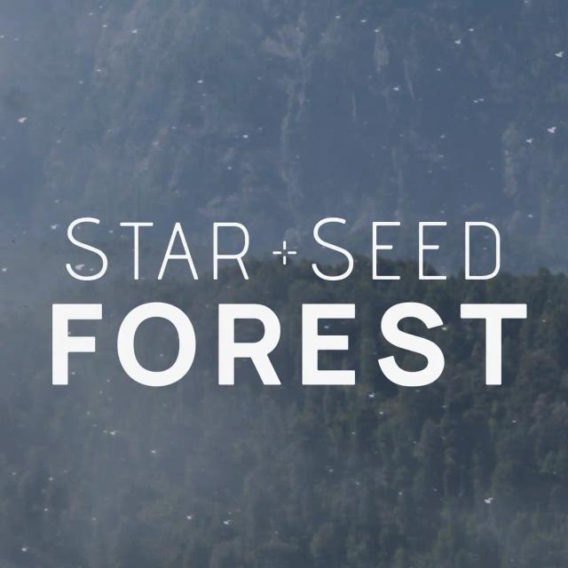 Starseed Forest