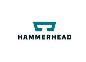 Hammerhead VR