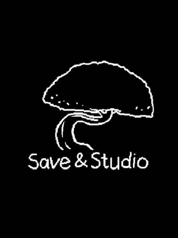 Save & Studio