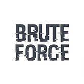 BRUTE FORCE