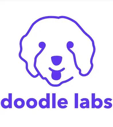 Doodle Labs