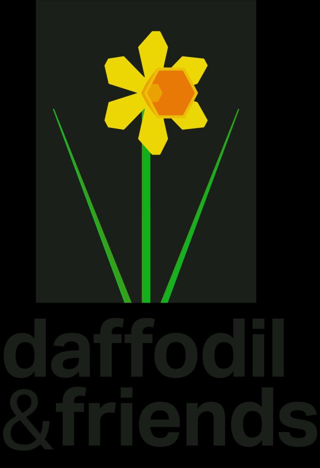 daffodil & friends