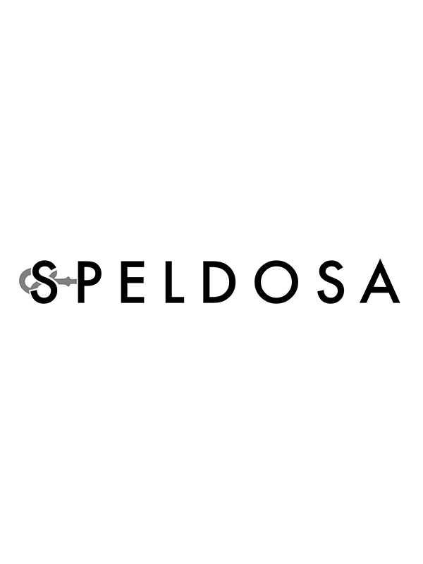 Speldosa Interactive