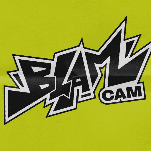 BLAMCAM Interactive