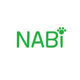 Nabi