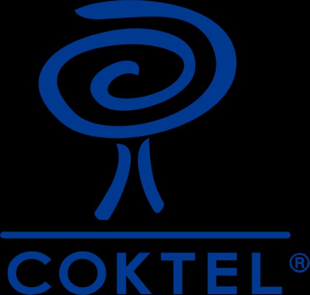 Coktel Vision