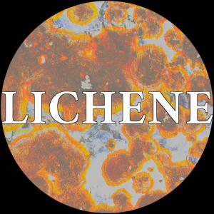 Lichene