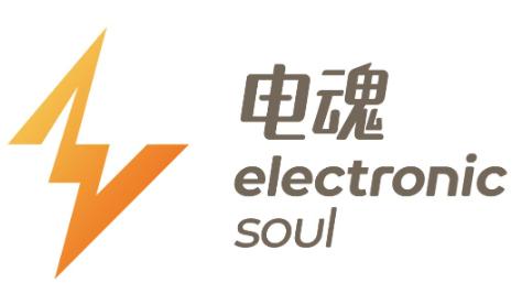 Hangzhou Electronic Soul Network Technology