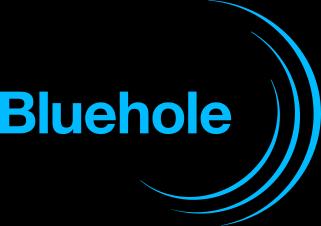 Bluehole, Inc.