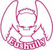 Eushully