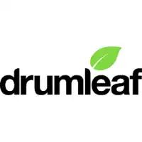 Drumleaf